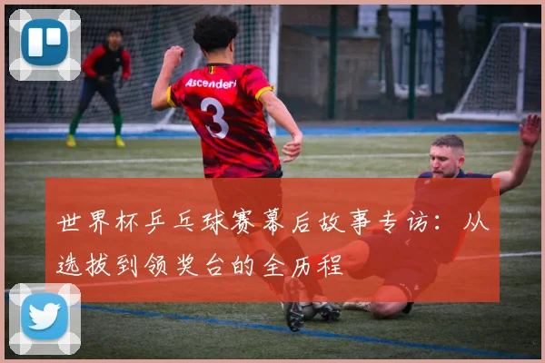 世界杯乒乓球赛幕后故事专访:从选拔到领奖台的全历程