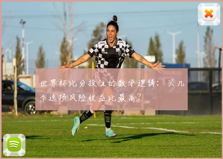 世界杯比分投注的数学逻辑:买几个选项风险收益比最高?