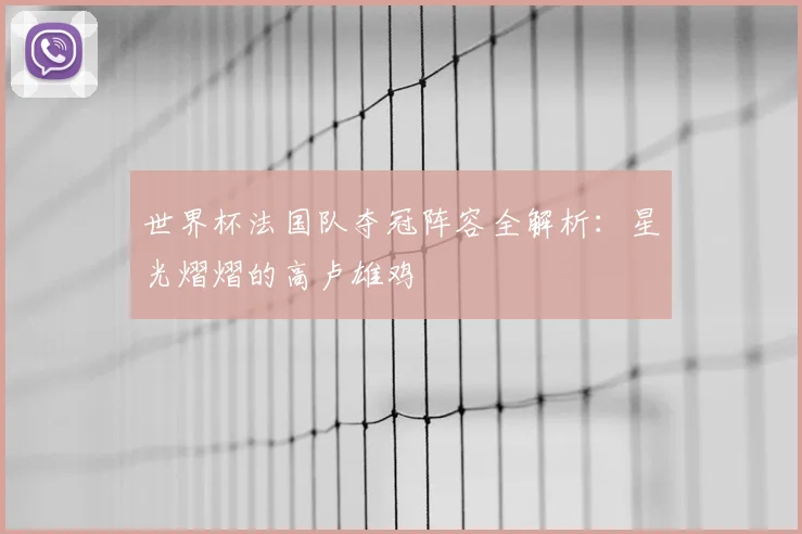 世界杯法国队夺冠阵容全解析:星光熠熠的高卢雄鸡