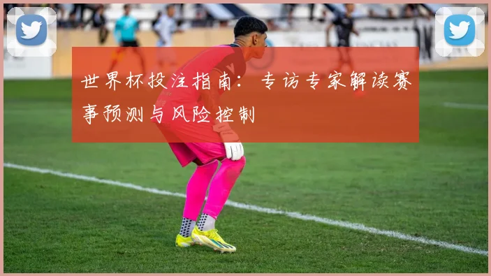世界杯投注指南:专访专家解读赛事预测与风险控制