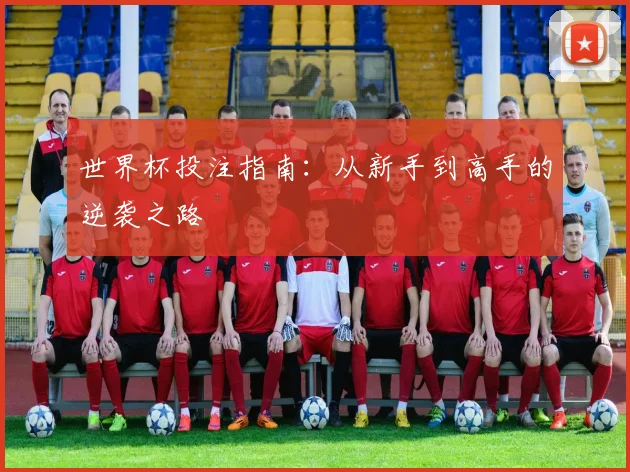 世界杯投注指南:从新手到高手的逆袭之路