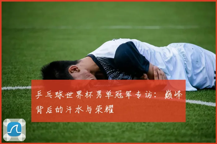 乒乓球世界杯男单冠军专访：巅峰背后的汗水与荣耀