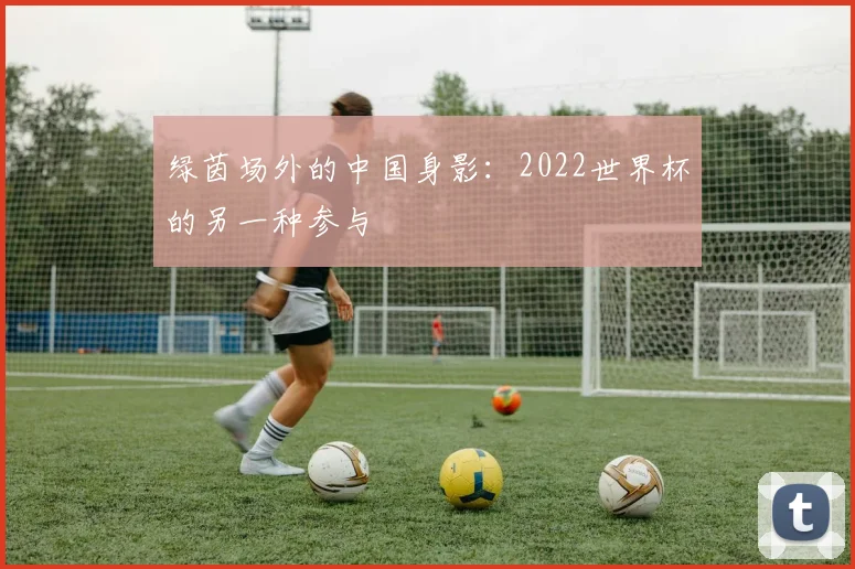 绿茵场外的中国身影:2022世界杯的另一种参与