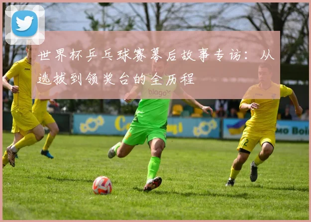 世界杯乒乓球赛幕后故事专访:从选拔到领奖台的全历程